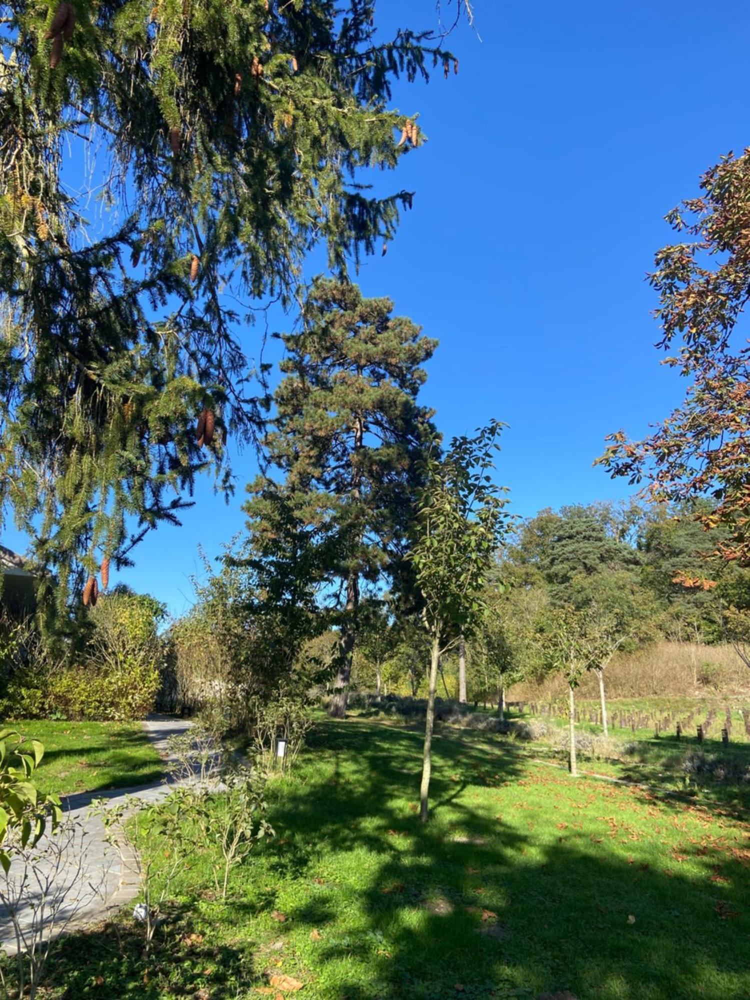 Chateau De Fere Eksteriør billede